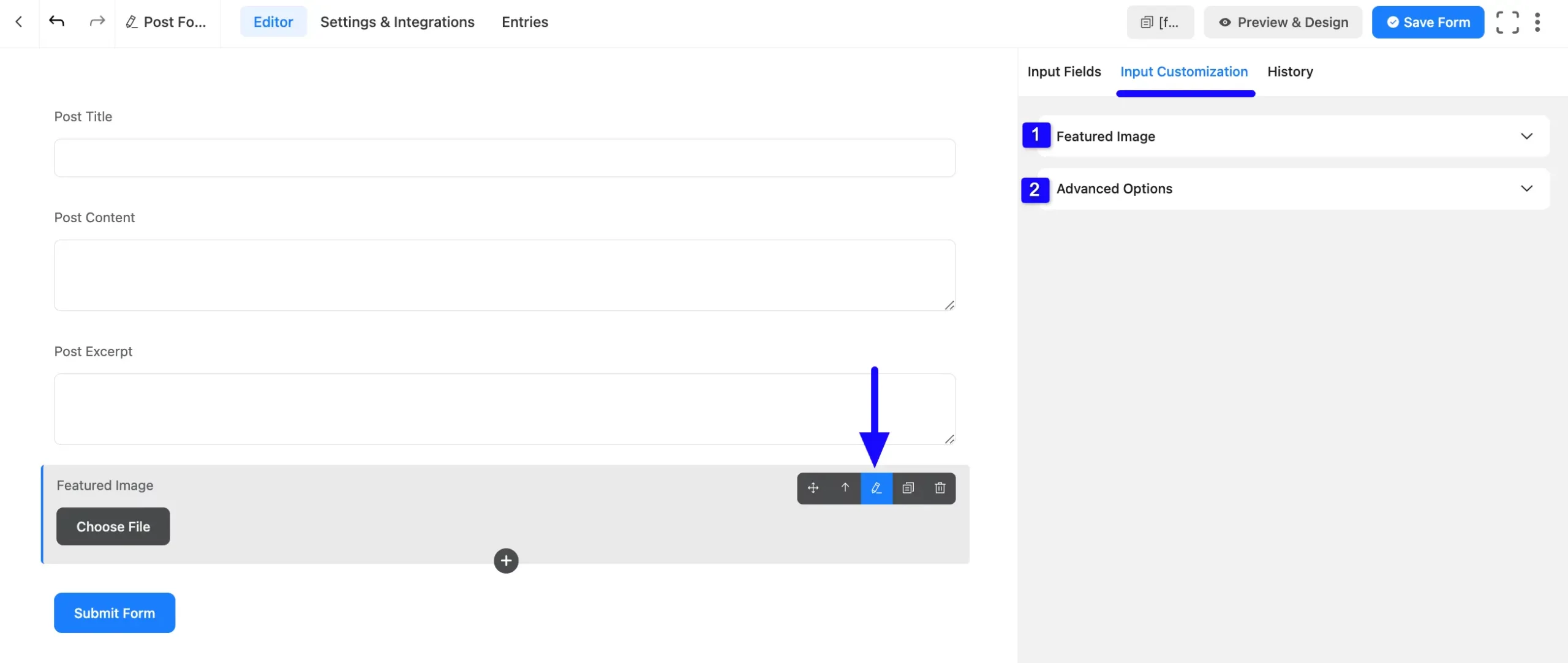 Input Customization