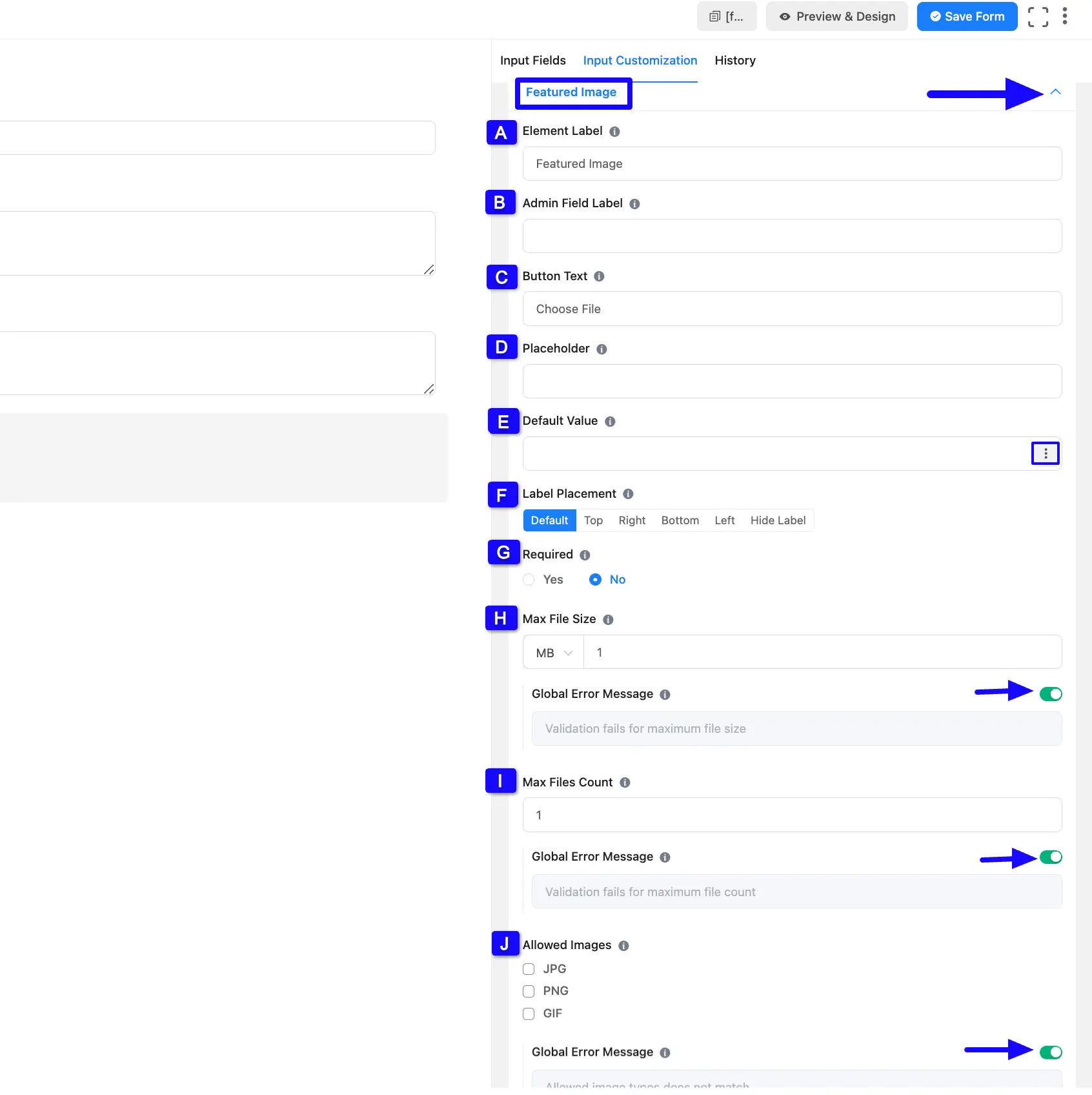 Featured Option Fluent Forms
