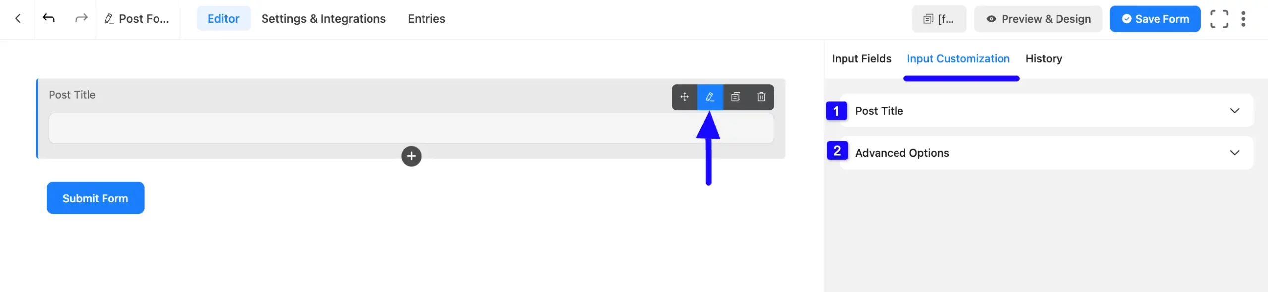 Input Customization