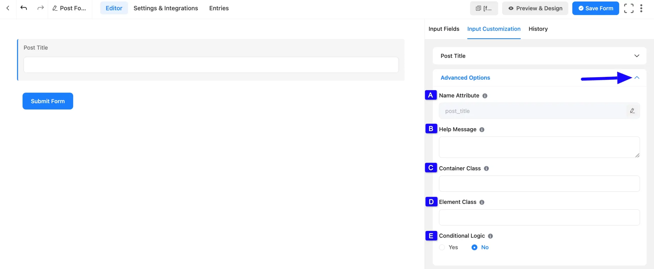 Advanced Option Fluent Forms
