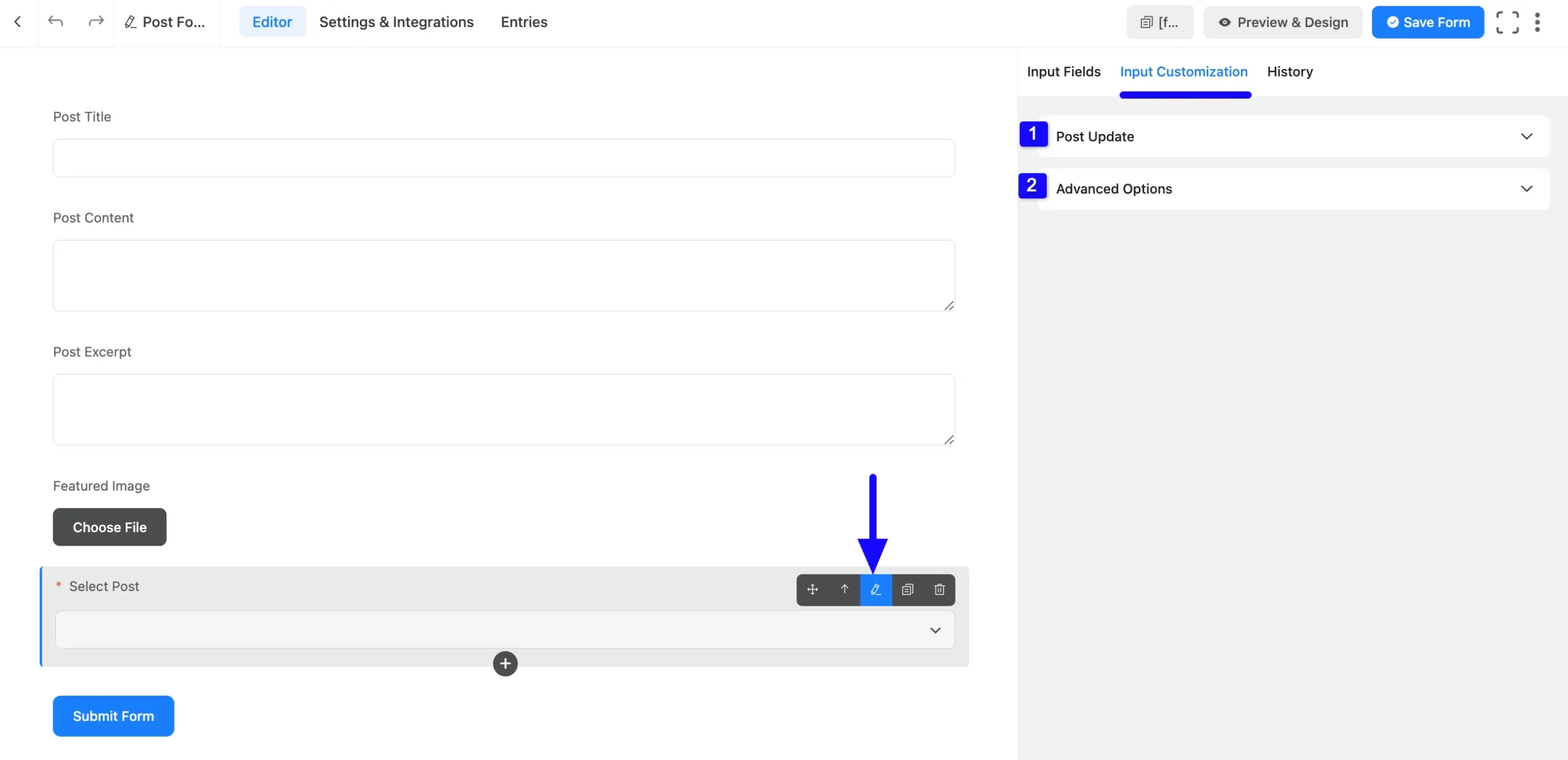 Input Customization