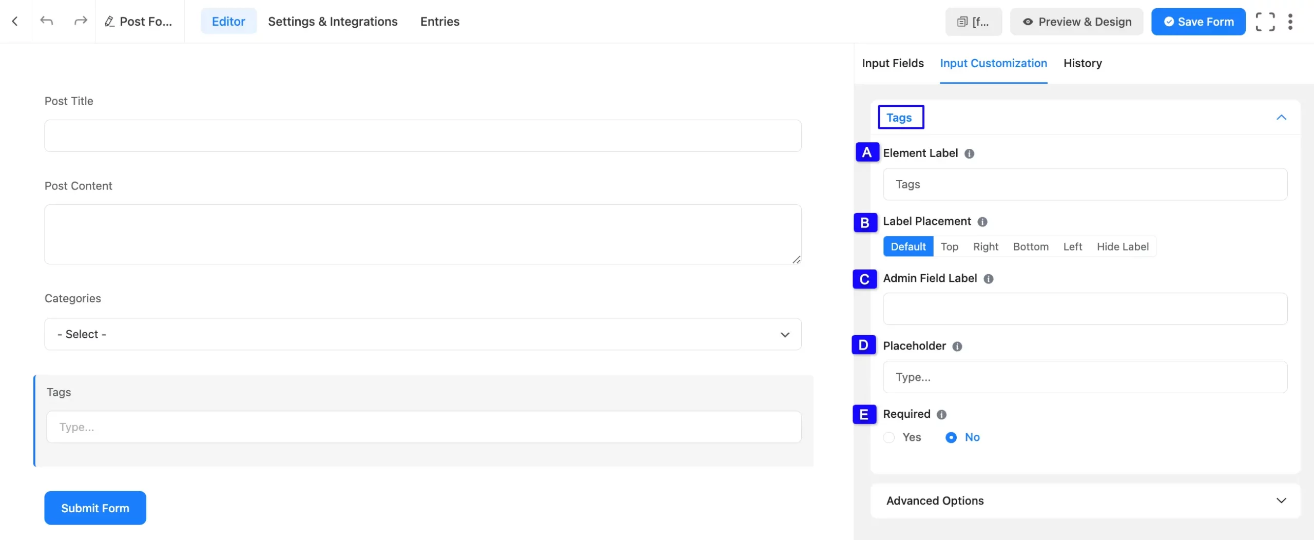 Tags Option Fluent Forms
