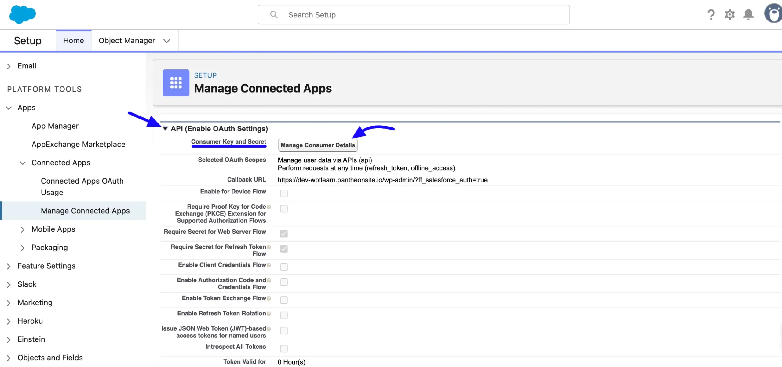 Salesforce Integration step