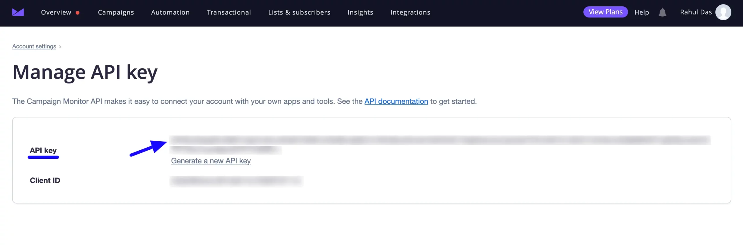 Copy API Key