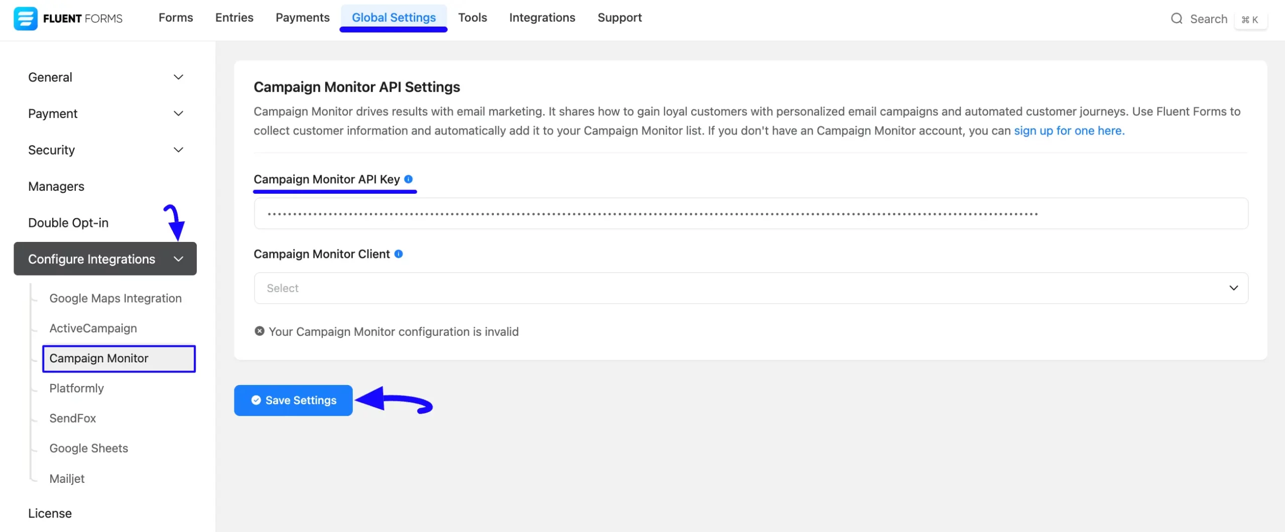 Paste API Key