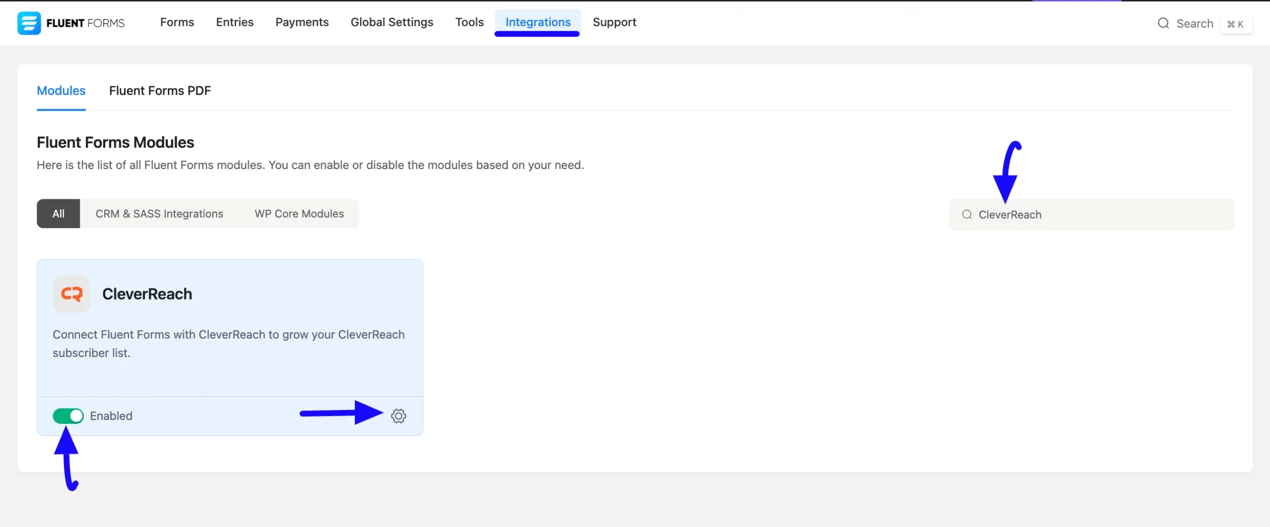 Enabled Cleverreach Fluent Forms
