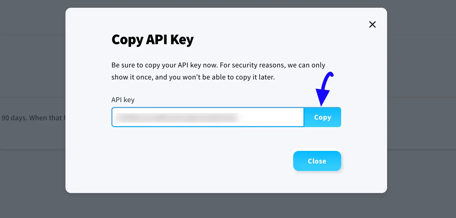 Copy API Key