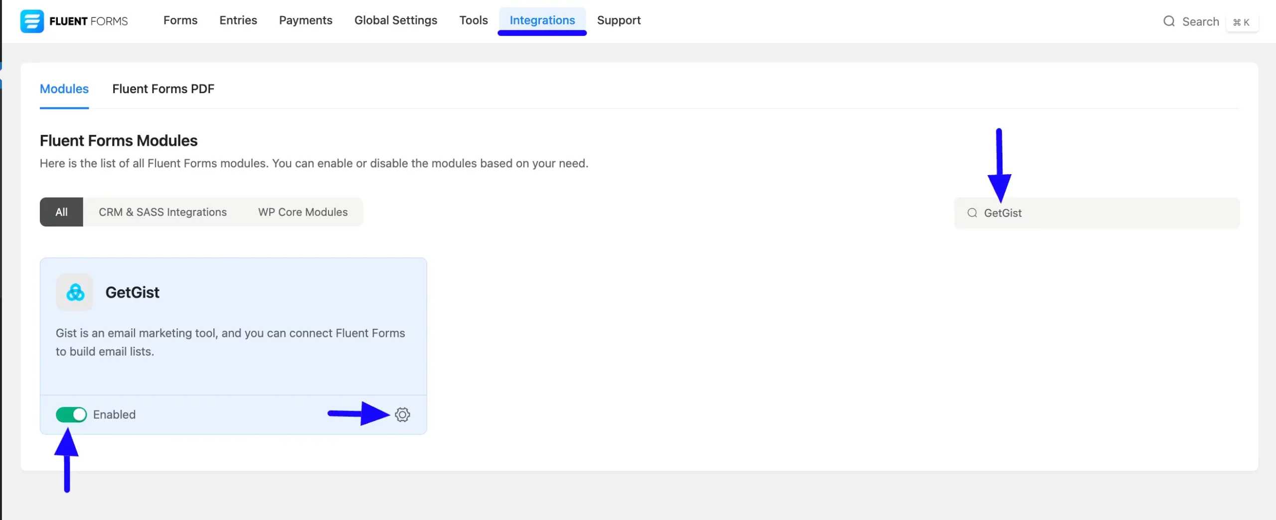 Enabled Getgist Fluent Forms