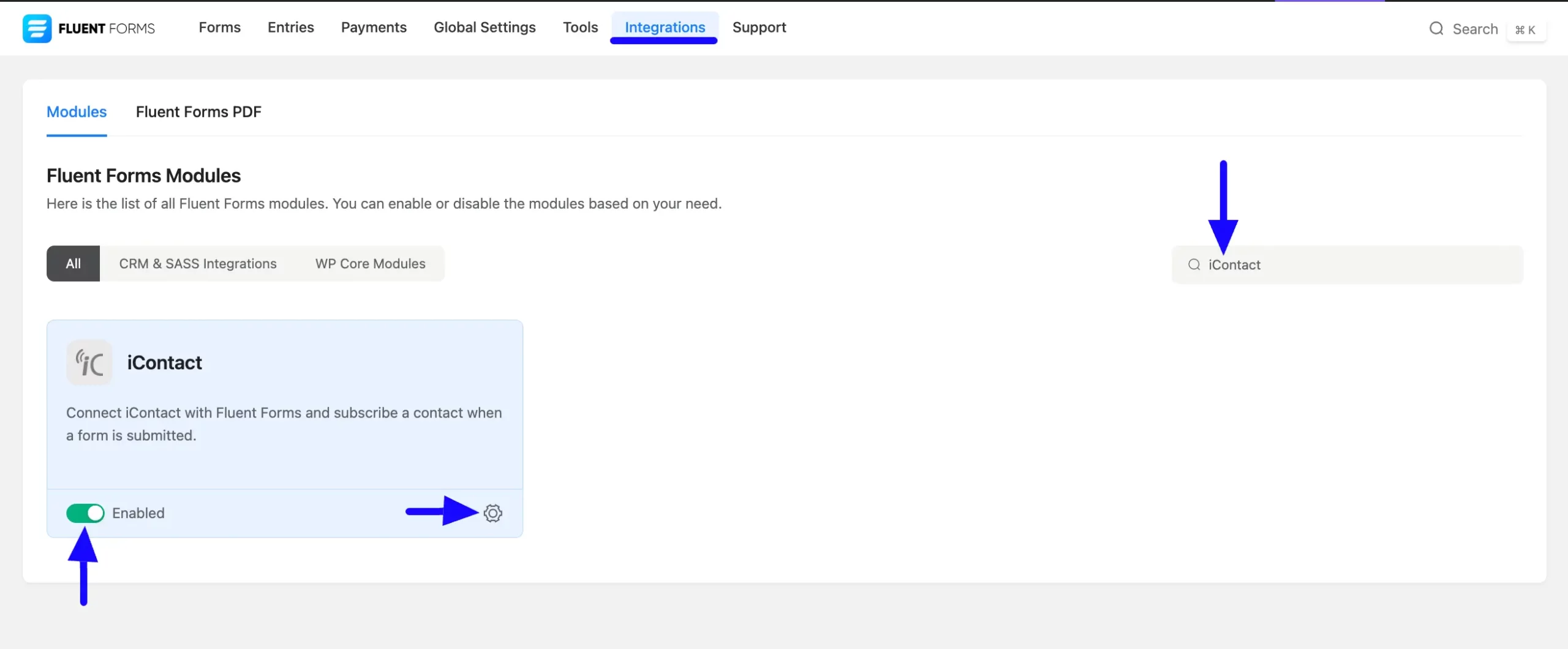 Enabled Icontact Fluent Forms