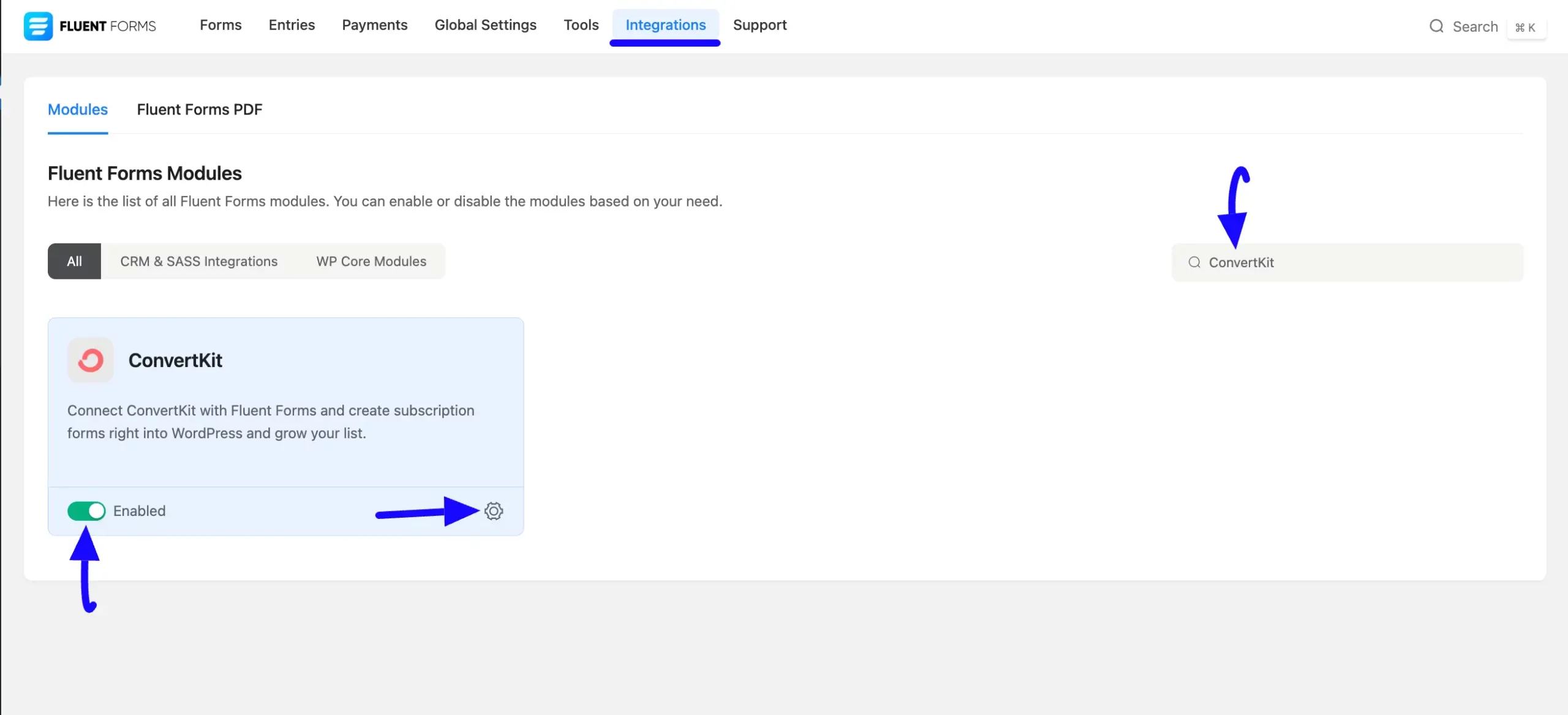 Enabled Convertkit Fluent Forms