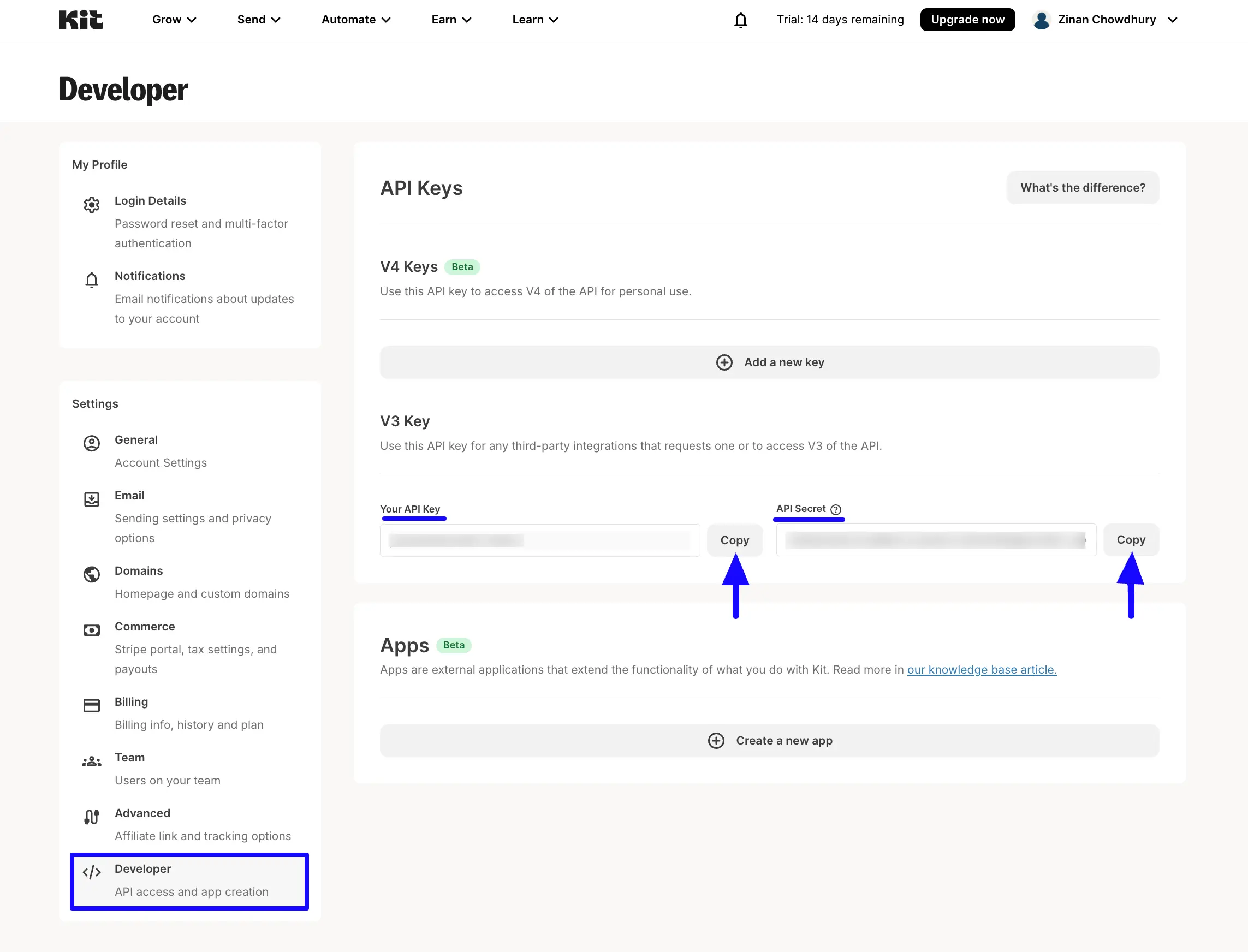 Copy API Keys