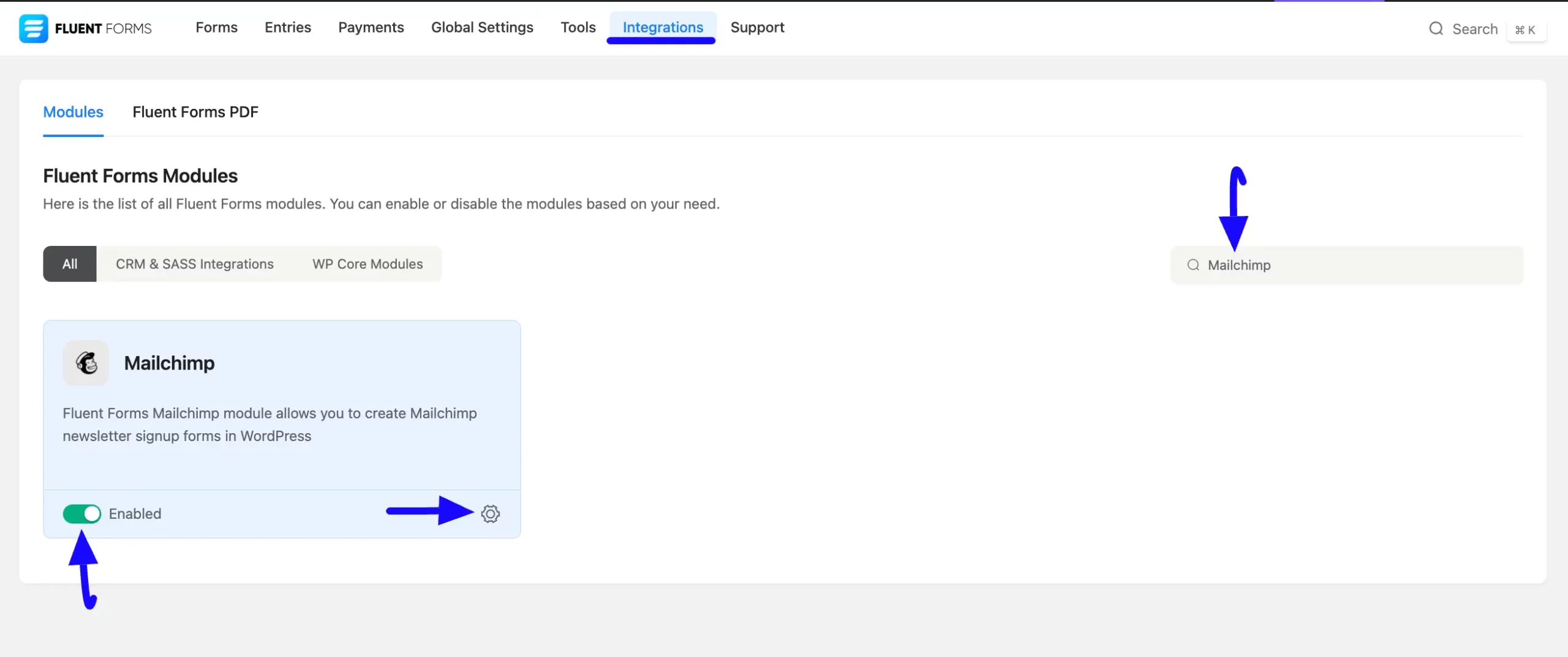 Enabled Mailchimp Fluent Forms