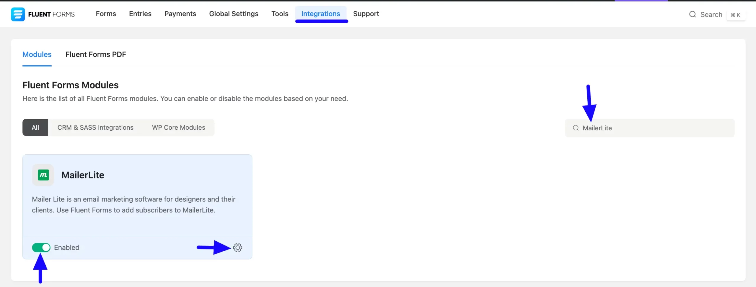Enabled Mailerlite Fluent Forms
