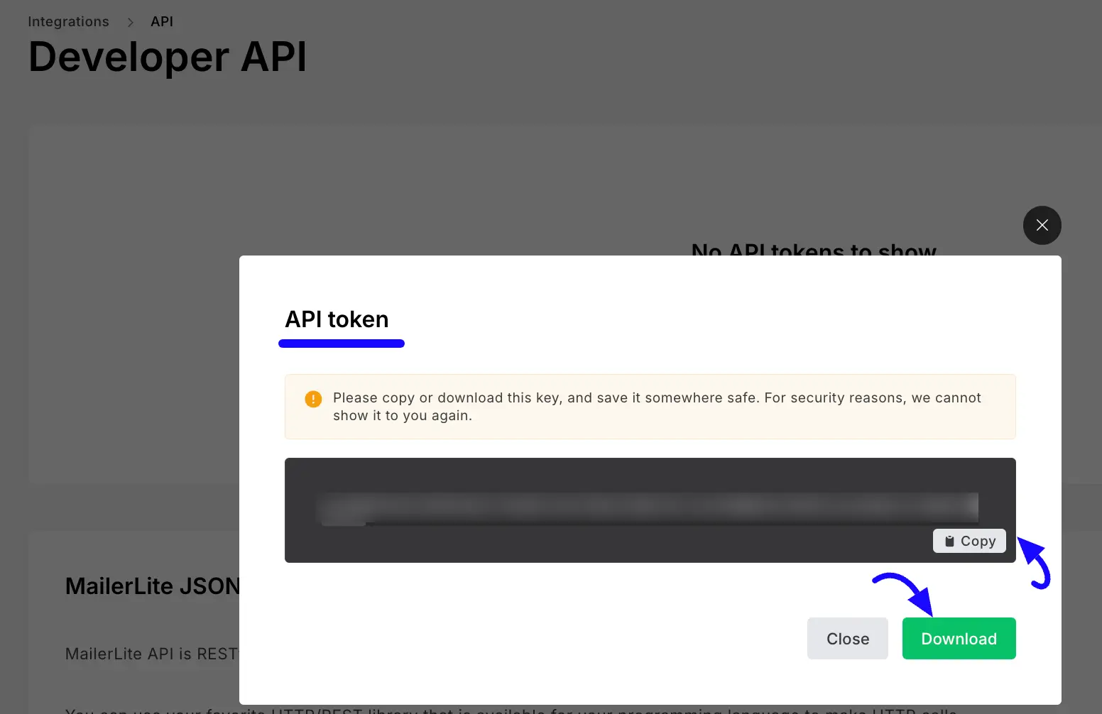 Copy API Token