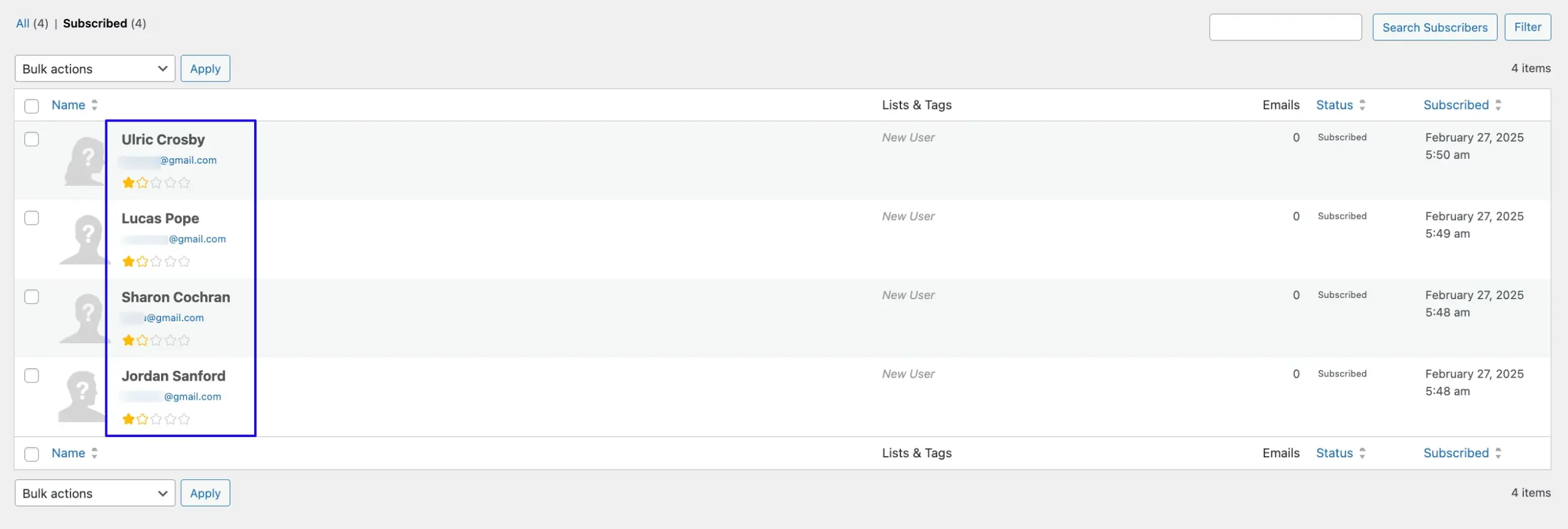 Subscriber Preview Fluent Forms
