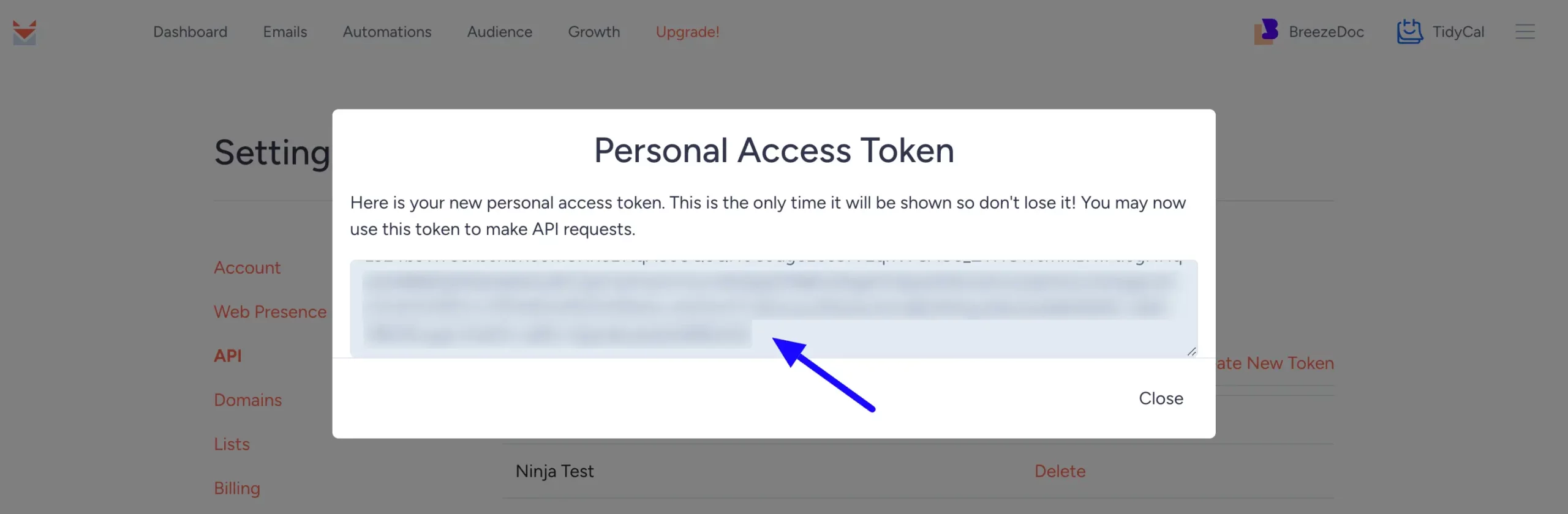 Copy API Key