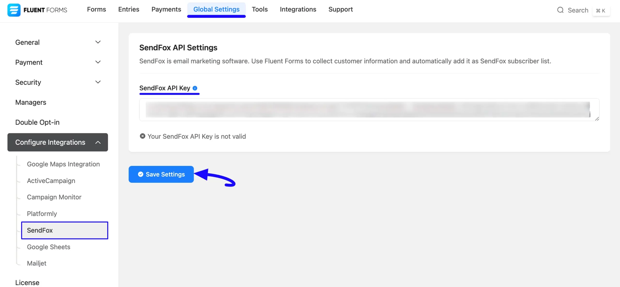Paste API Key
