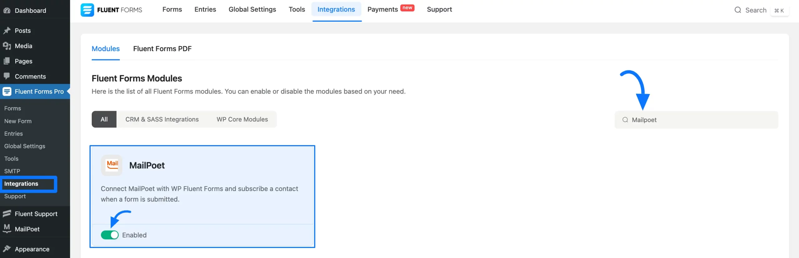 Enable MailPoet Fluent Forms