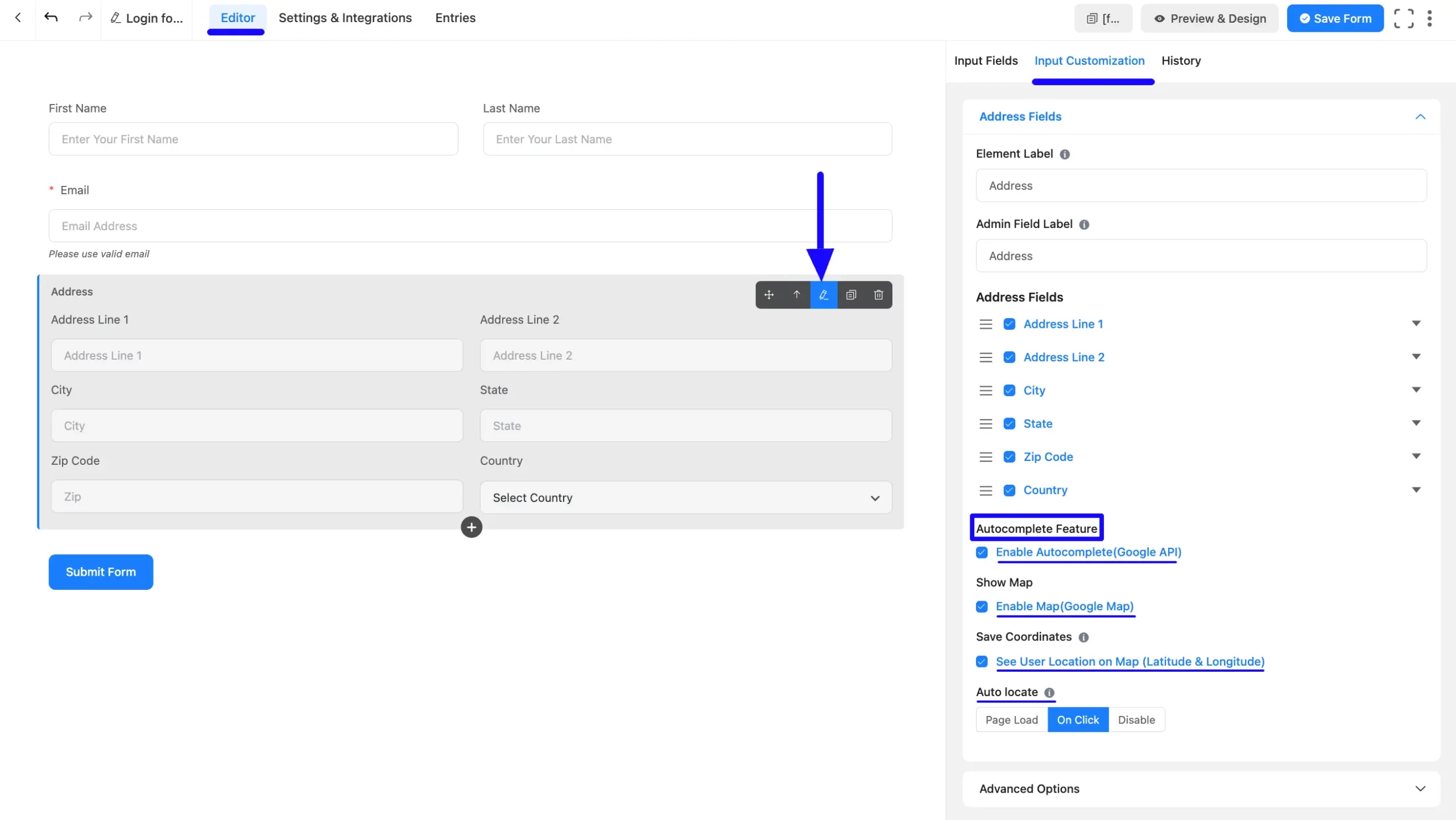 Input Customization Tab Address Field