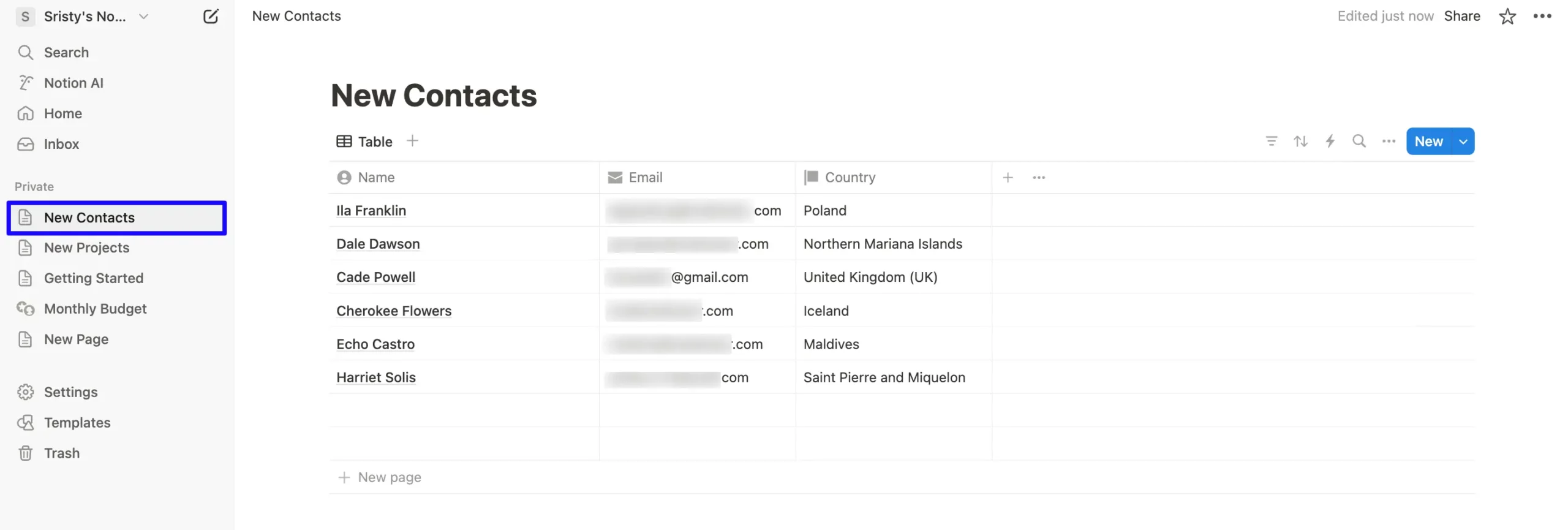 Notion Preview Fluent Forms