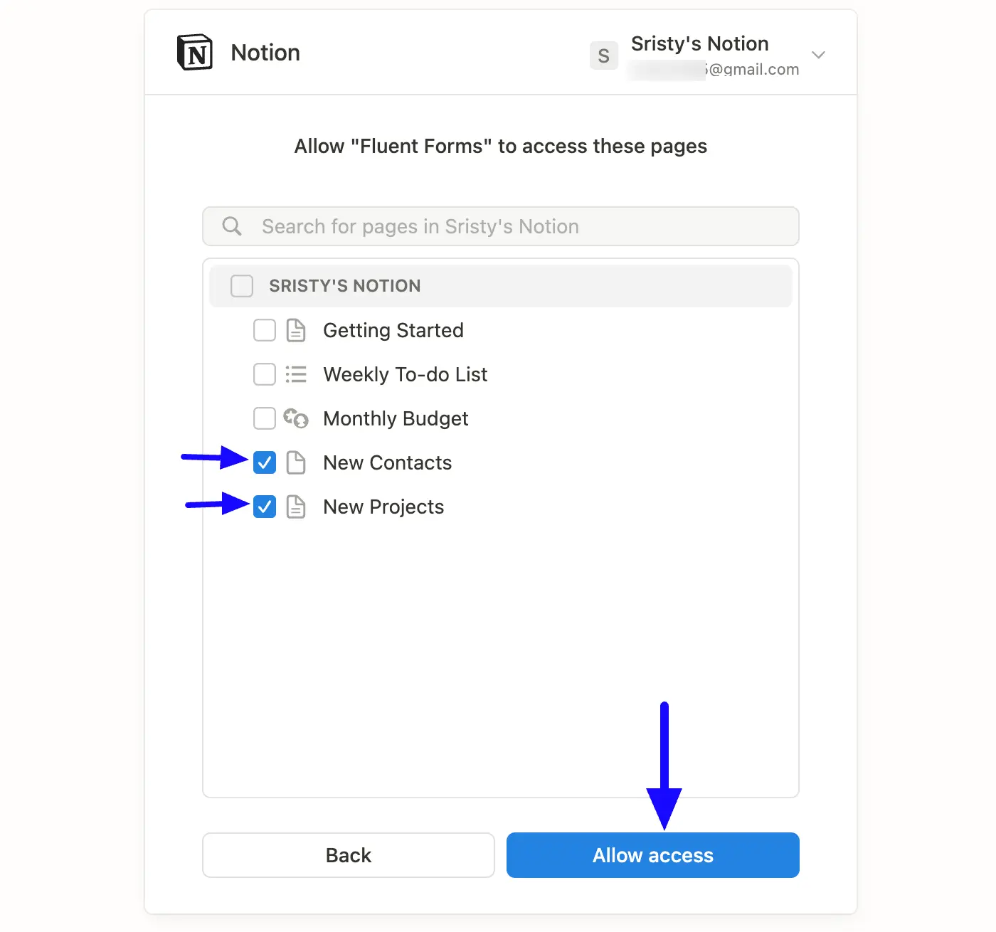 Allow Access Fluent Forms