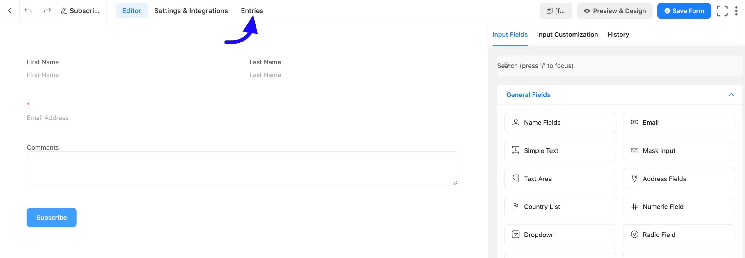 Entries Fluent Forms