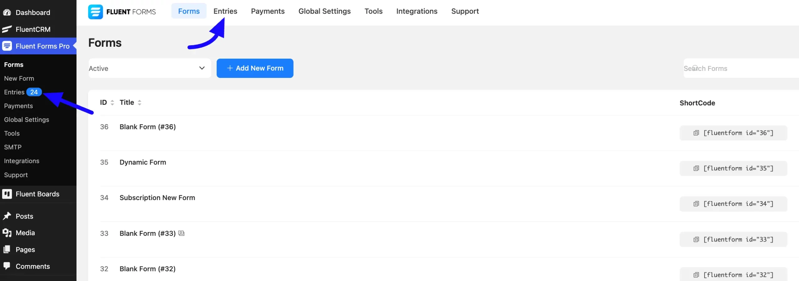 Entries Fluent Forms