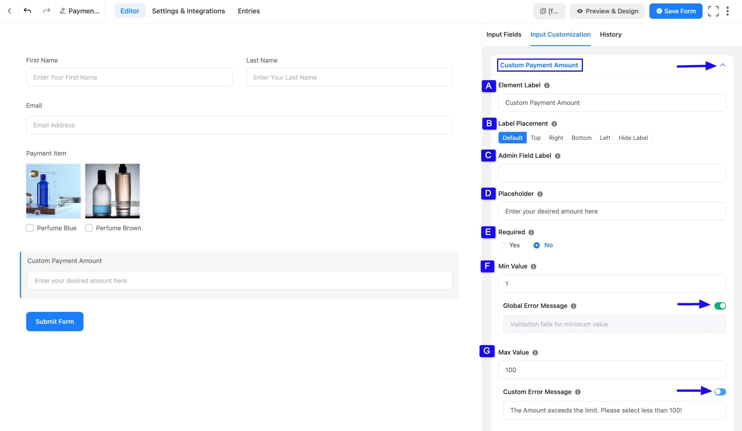 Custom Payment Amount Option