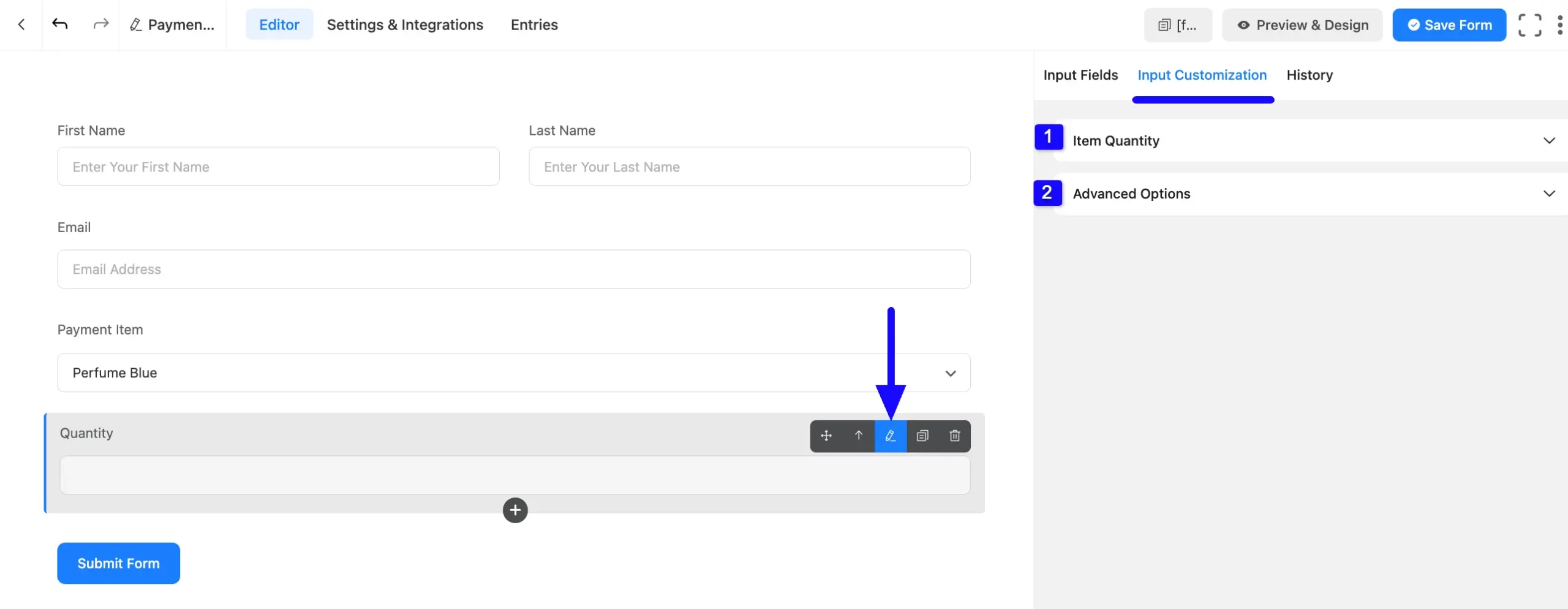 Input Customization Fluent Forms