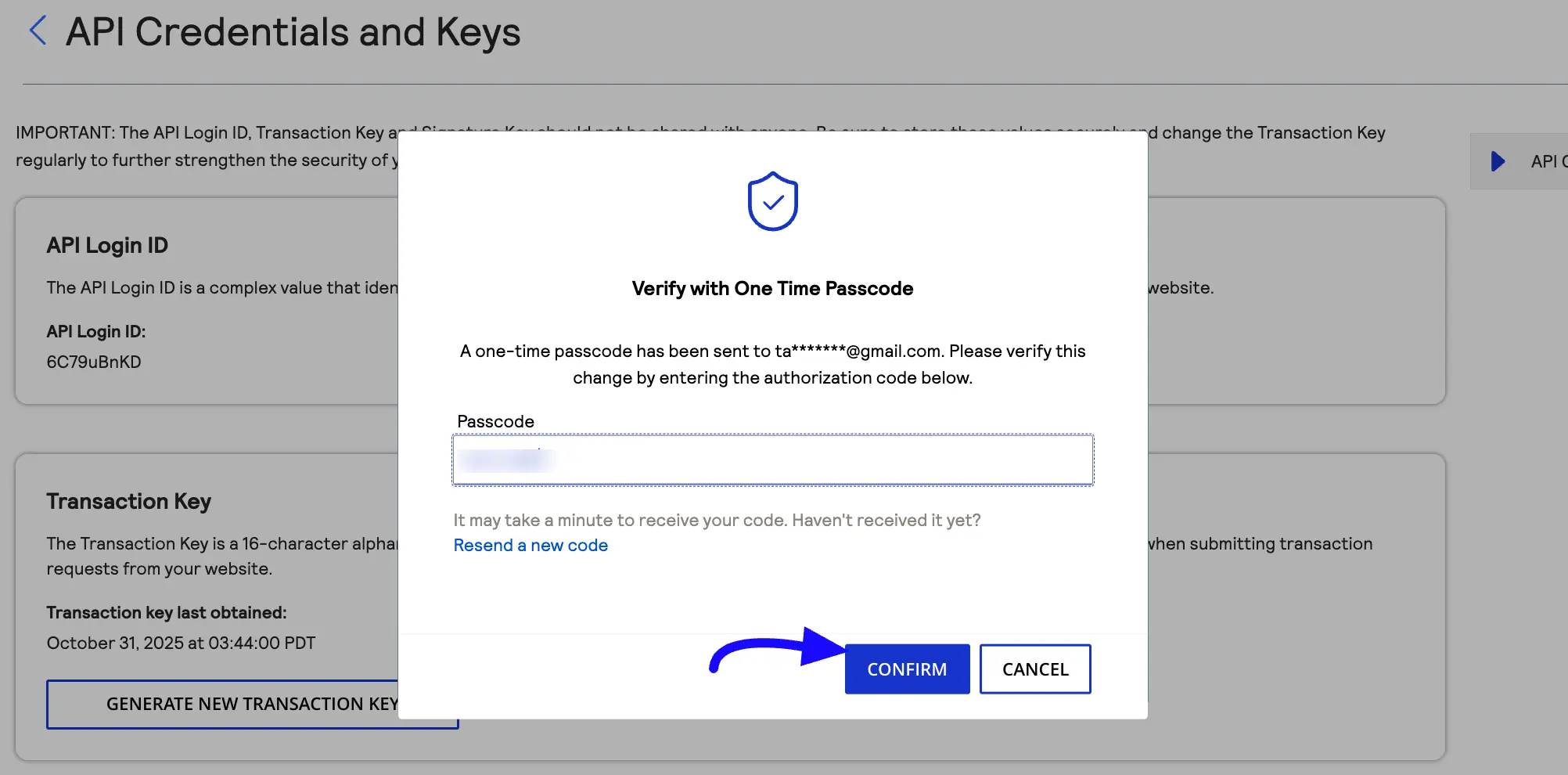 Passcode Fluent Forms