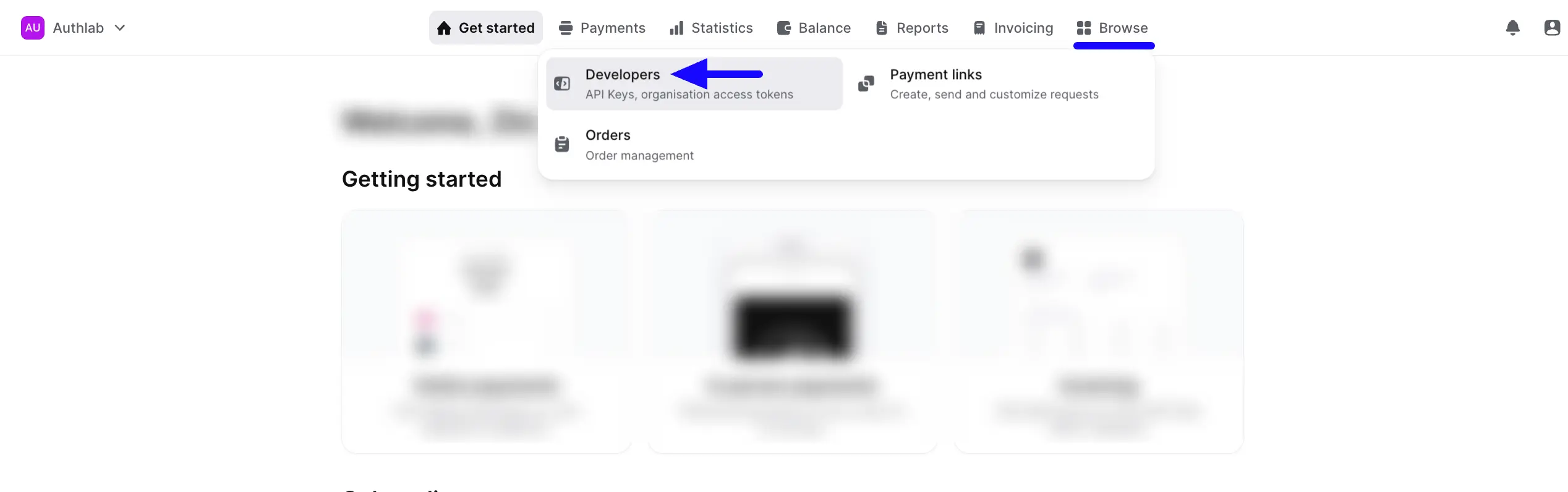 Developers Tab Fluent Forms