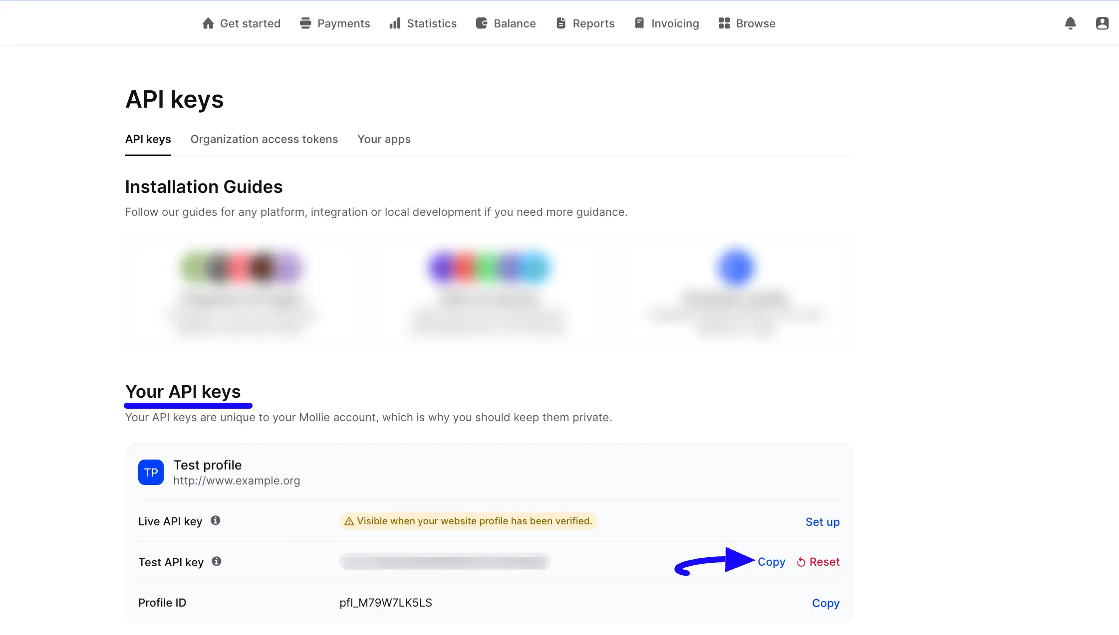 Copy API Key