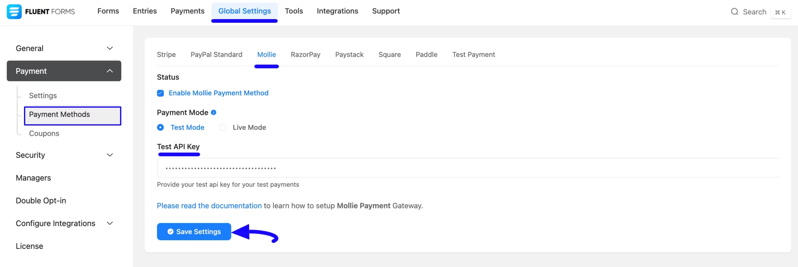 Paste API Key