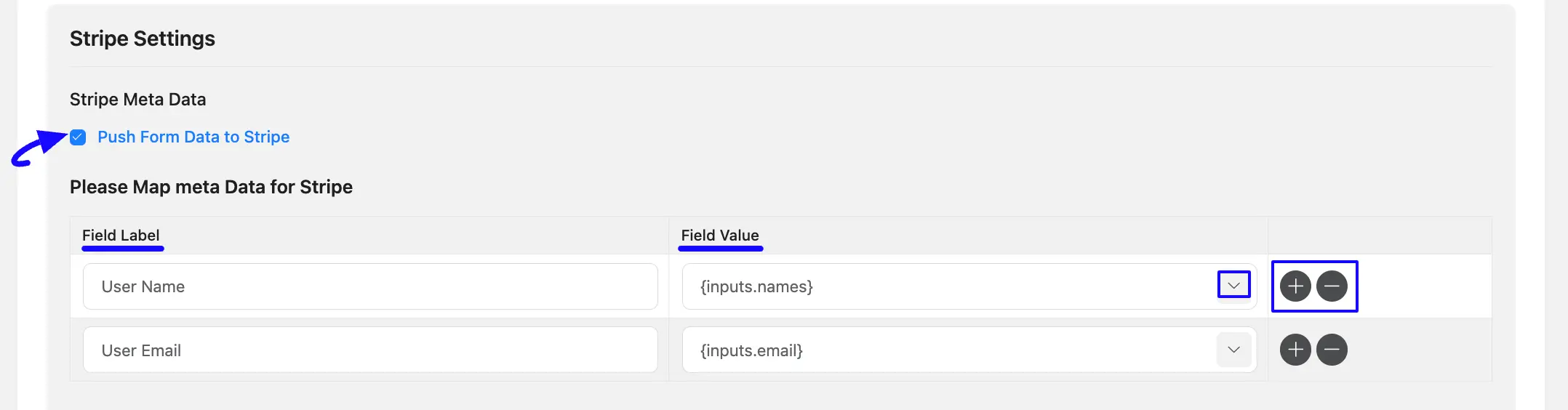 Stripe Meta Data Option