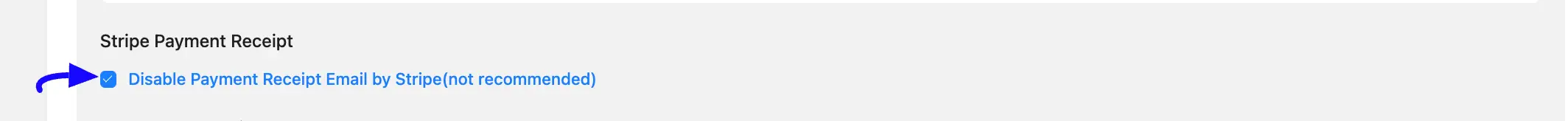 Stripe Payment Receipt