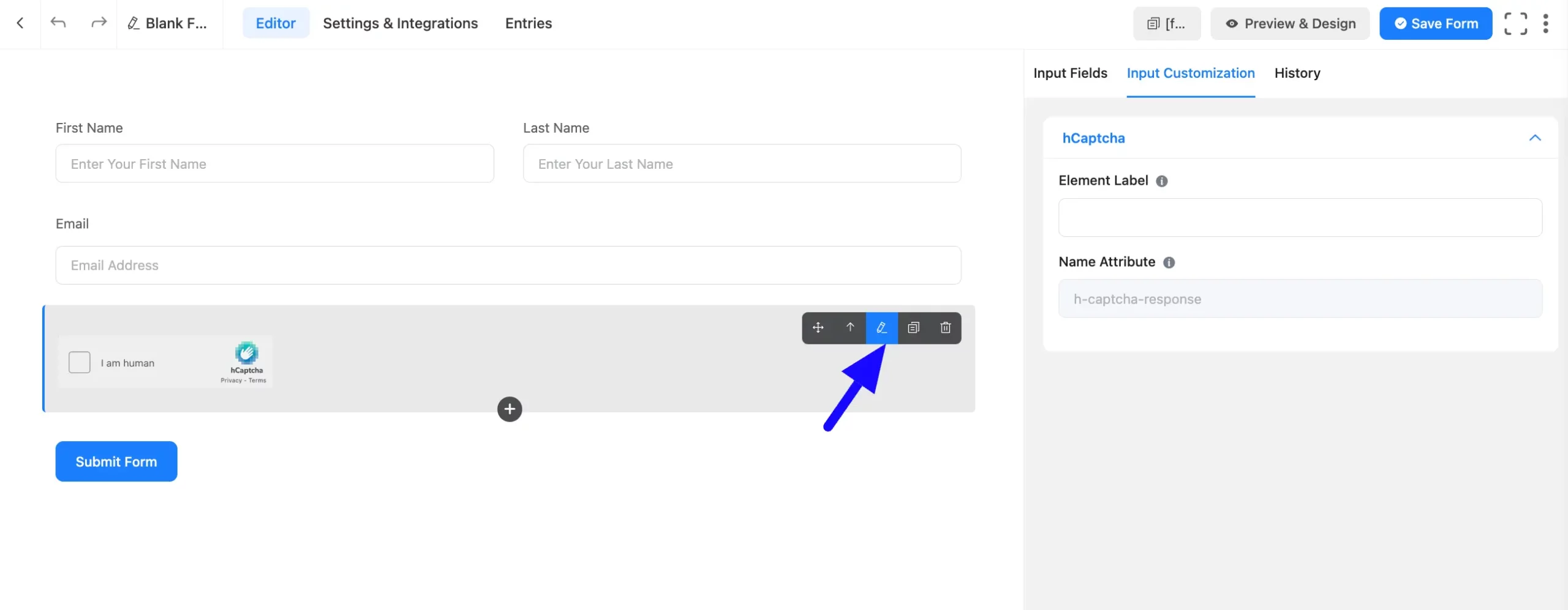 Input Customization Fluent Forms